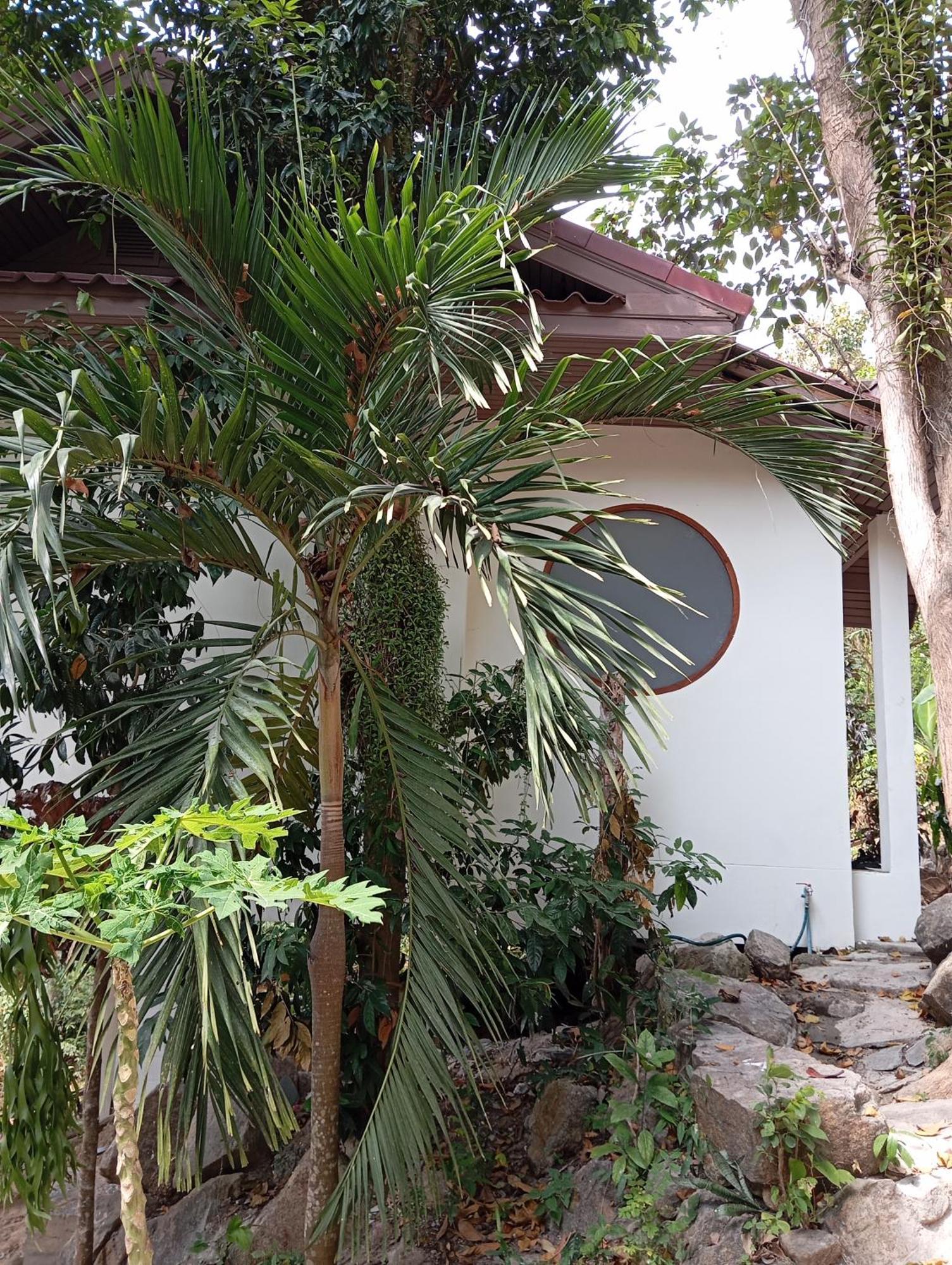 Villa Crocus Garden Haad Yao Exterior foto